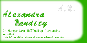 alexandra mandity business card